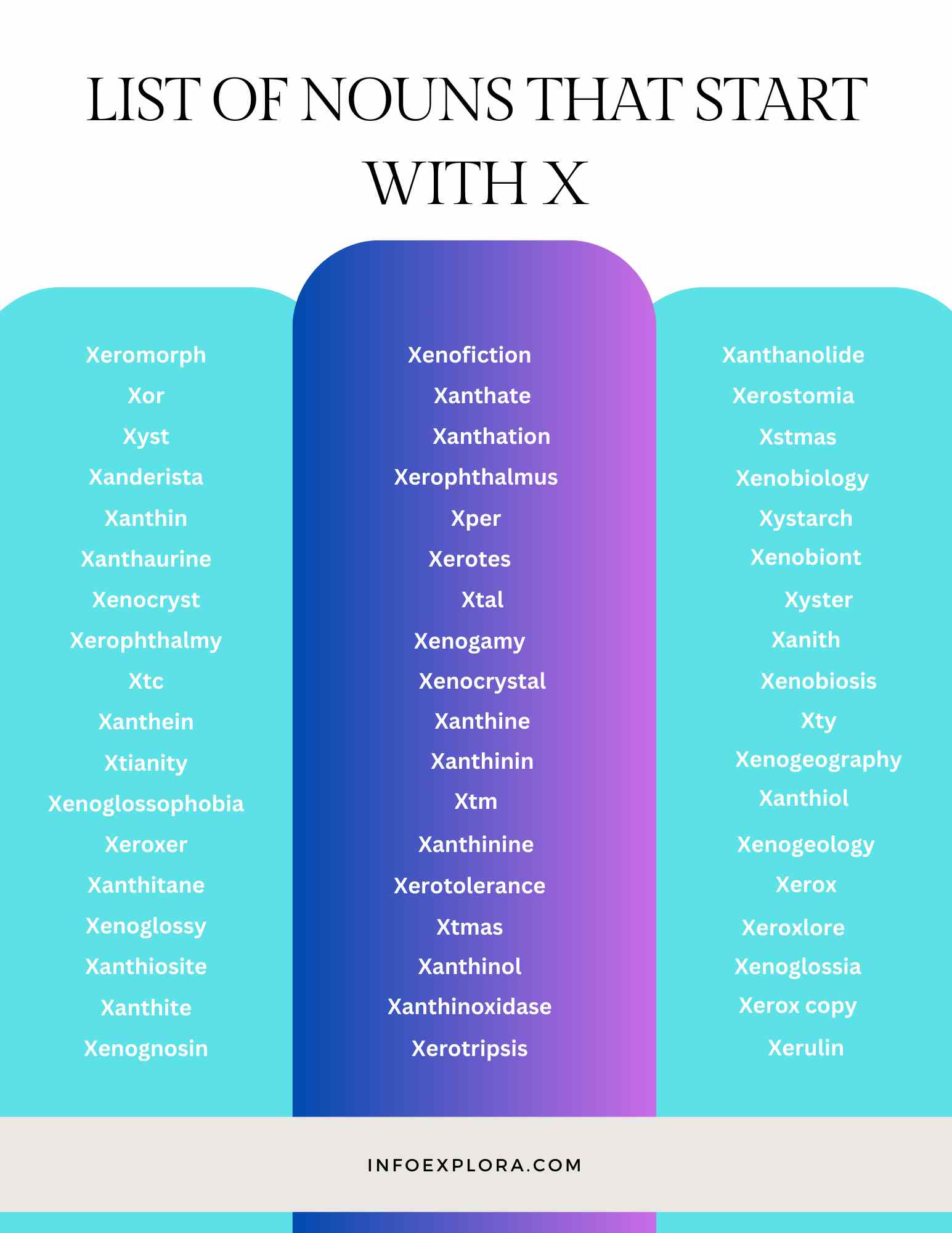 Nouns that Start With X