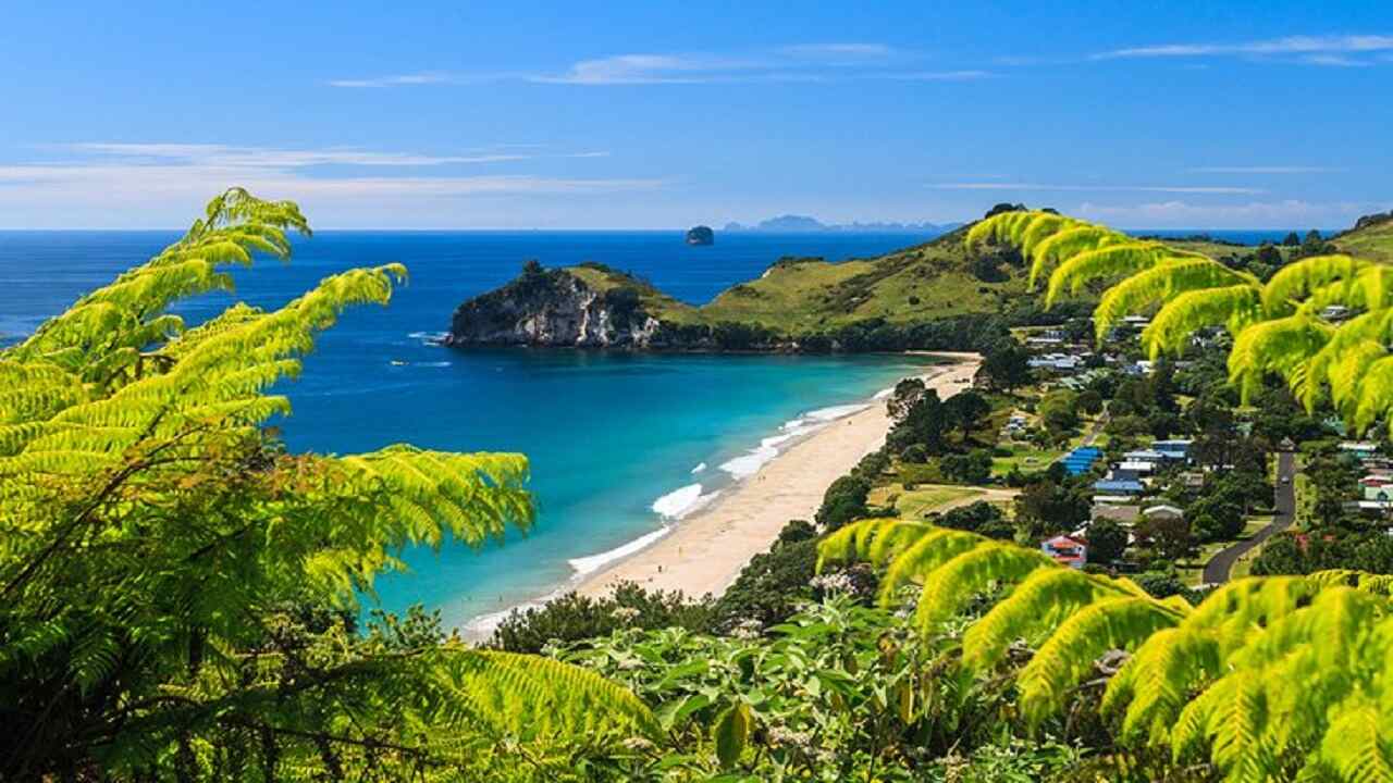 Attractive Places On New Zealand Island