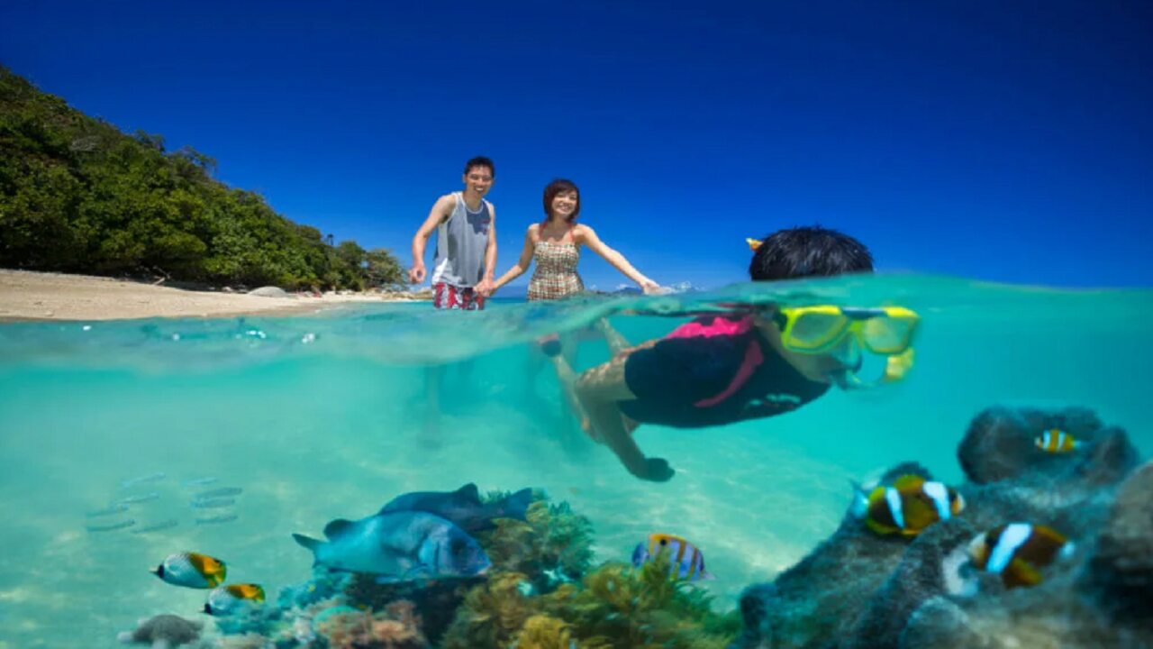 Things To Do In the Great Barrier Reef